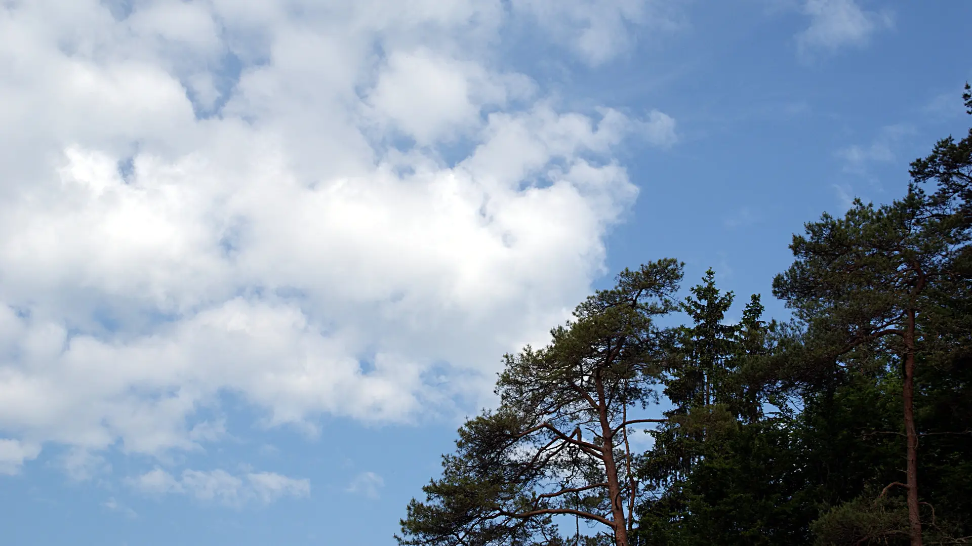 Wolken