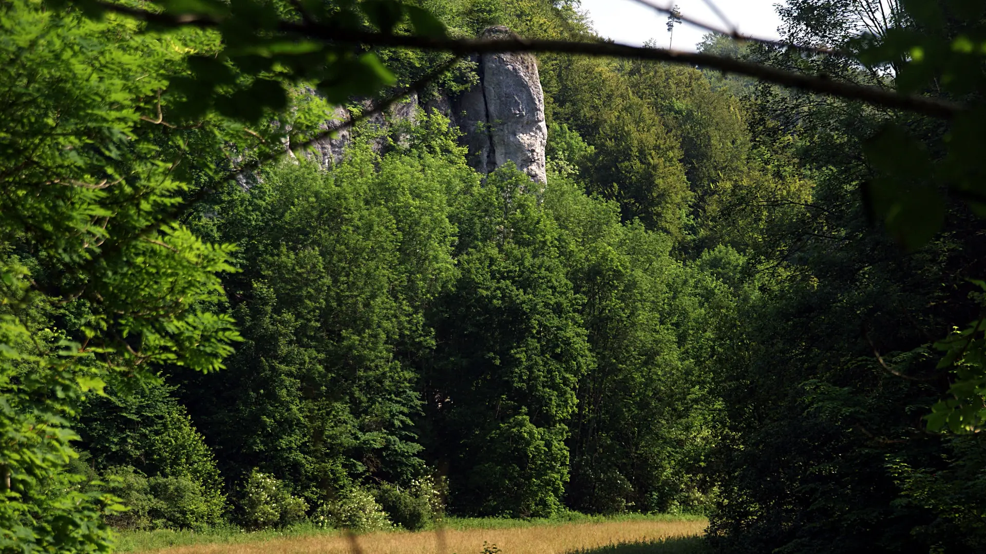 Fischburgtal