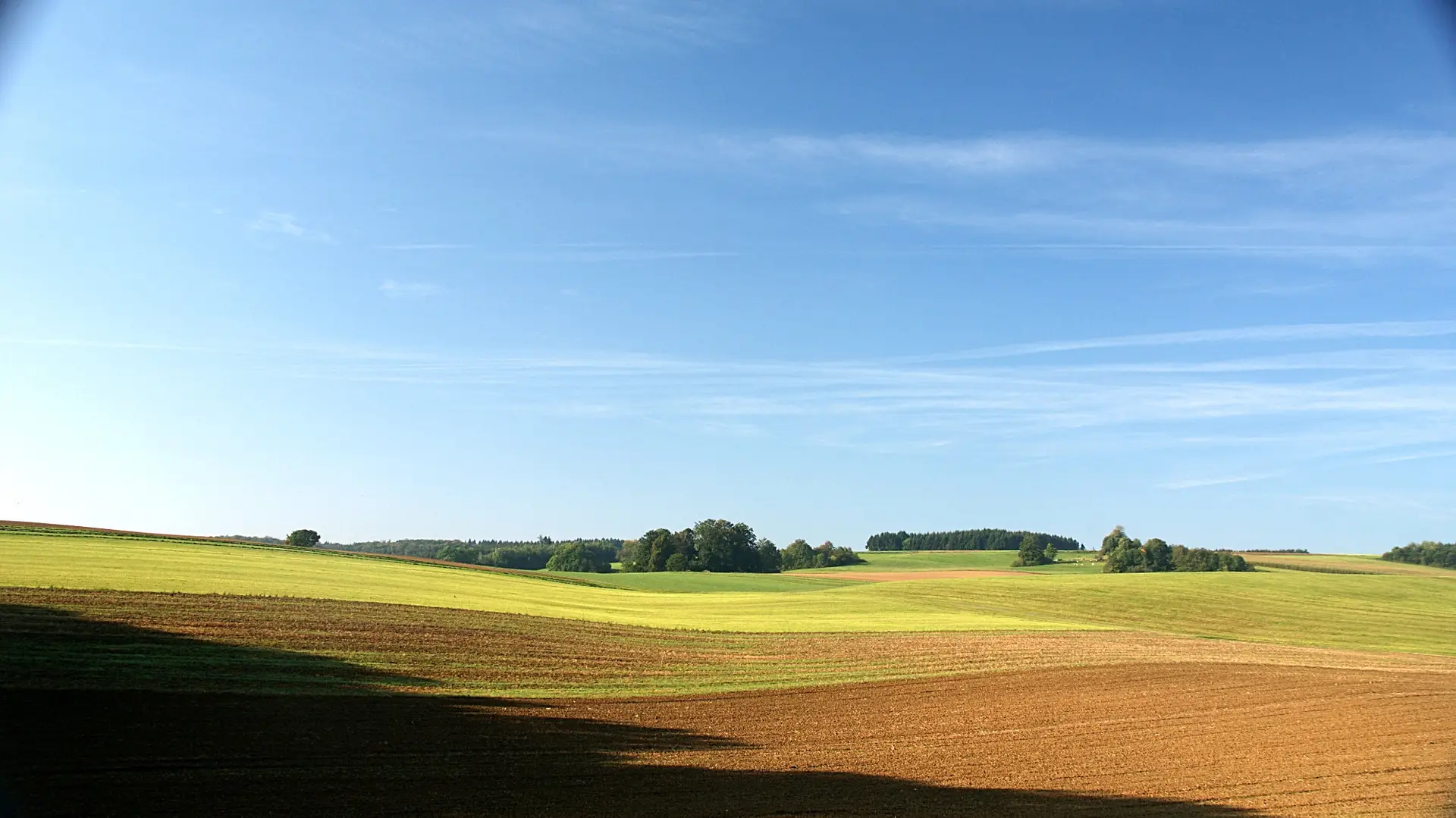 Landschaft