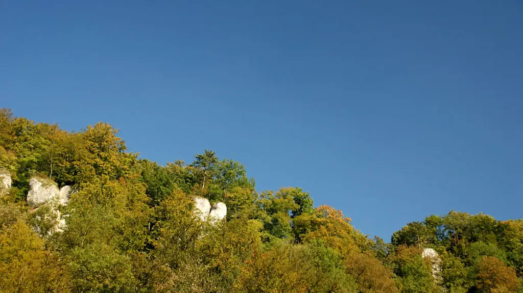 Felsen