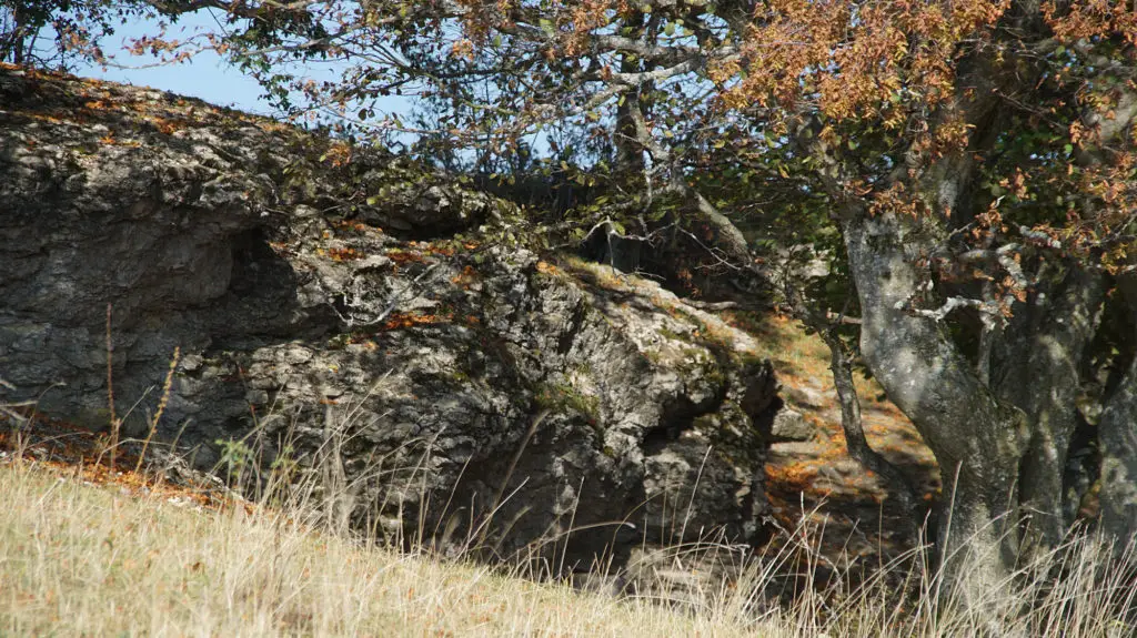 Auchtert