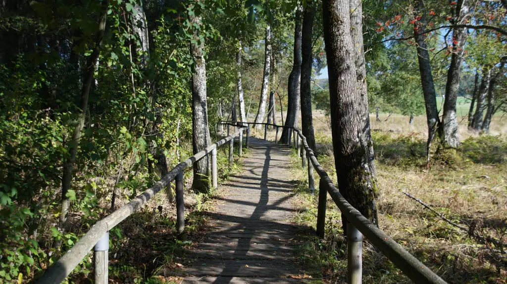 Schopflocher Moor