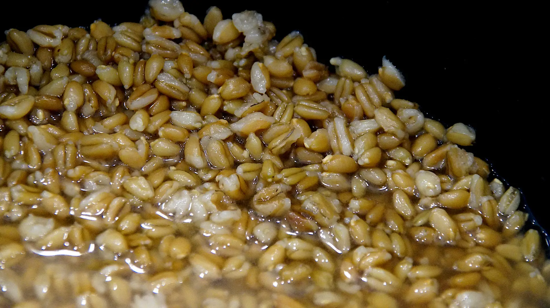 Grünkern