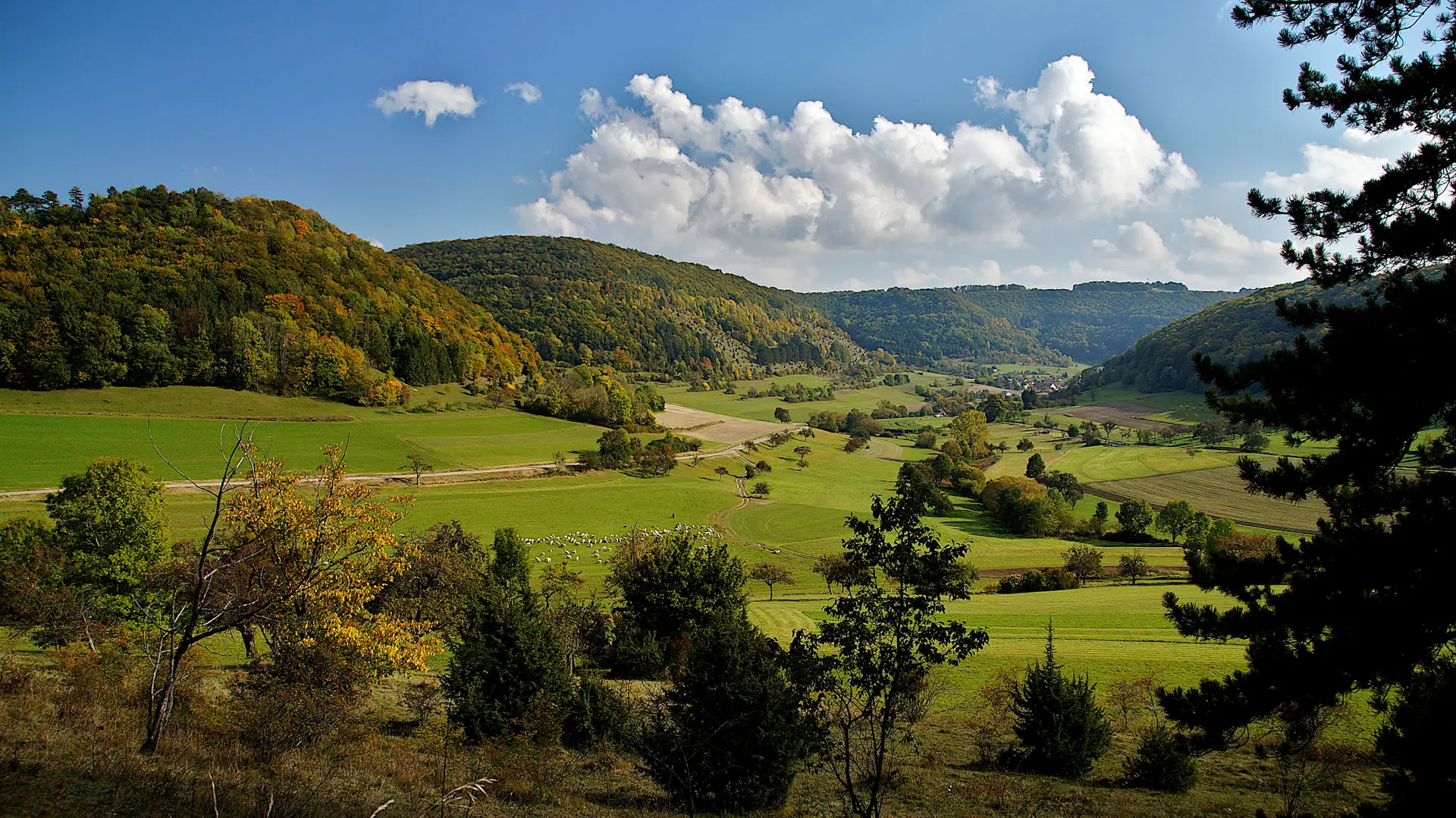 Landschaft